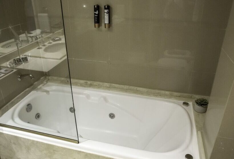 سوییت سوپریور, Carsson Hotel Downtown Buenos Aires