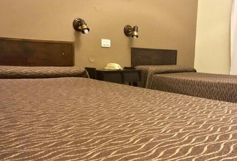 带1个卧室的公寓, Premier