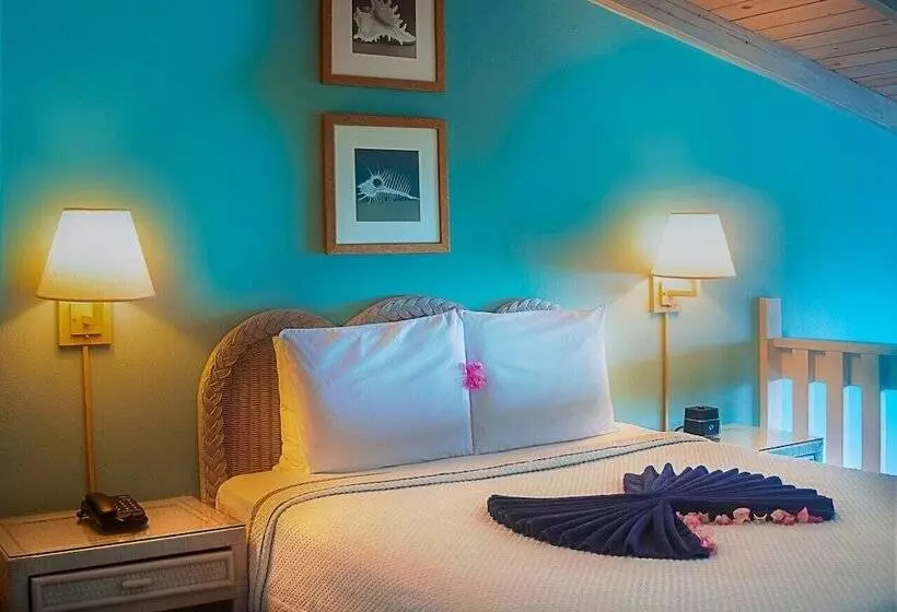 اتاق دوبلکس, Trade Winds Hotel Antigua