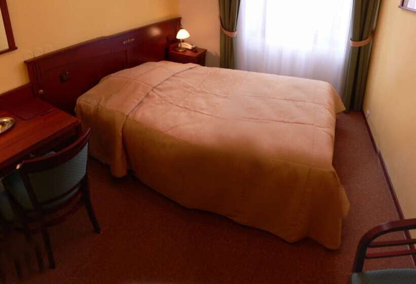 스탠다드 싱글 룸, Grandhotel Garni