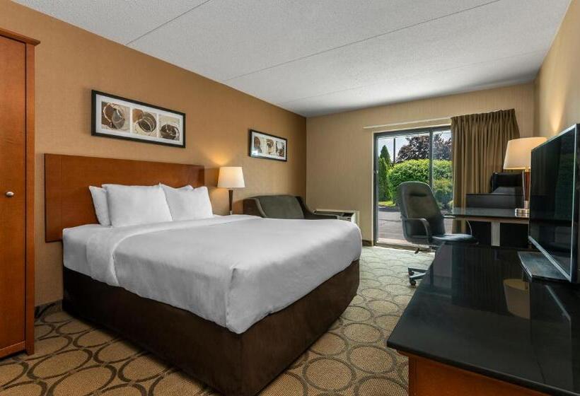 اتاق استاندارد در طبقه همکف, Comfort Inn