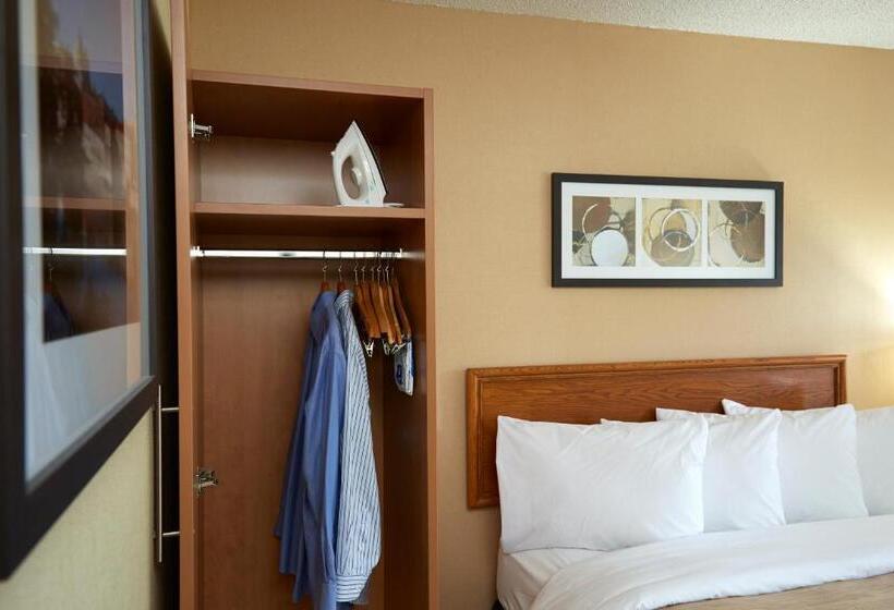 غرفة ديلوكس سرير كينج, Comfort Inn