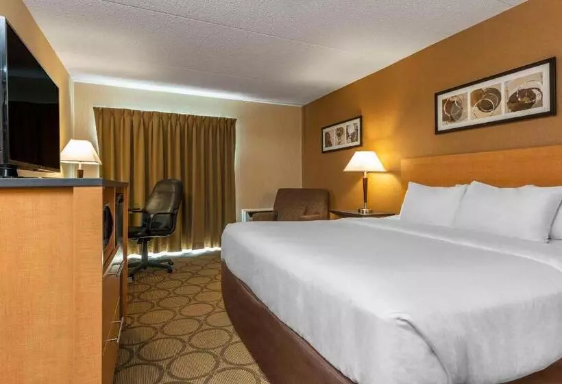 キングサイズベッドのデラックスルーム, Comfort Inn