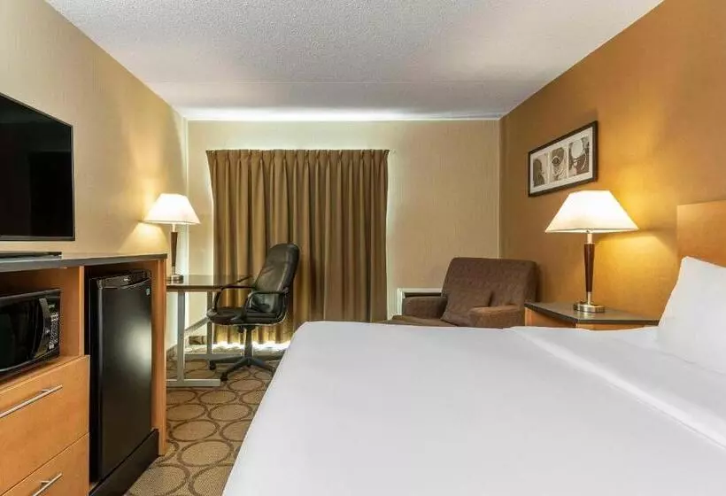 キングサイズベッドのデラックスルーム, Comfort Inn