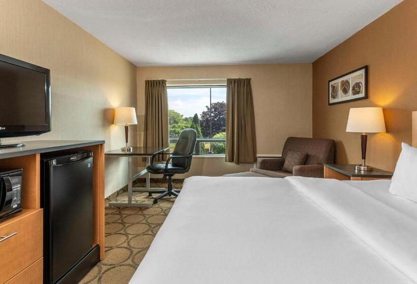 اتاق لوکس با تخت بزرگ, Comfort Inn