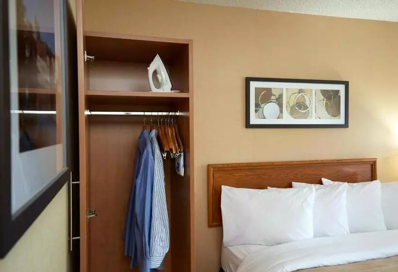 スタンダードルーム, Comfort Inn