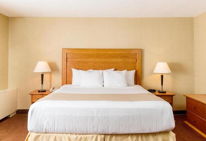 غرفة قياسية, Days Inn By Wyndham Edmonton Downtown