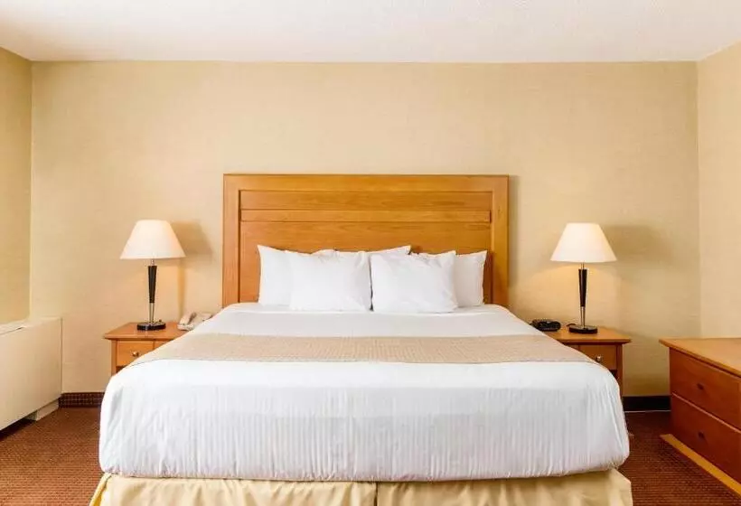 اتاق استاندارد, Days Inn By Wyndham Edmonton Downtown
