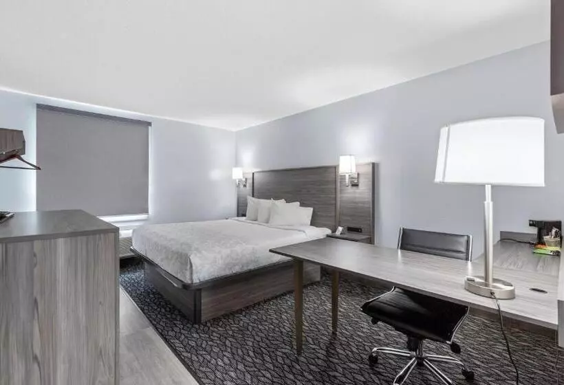 اتاق سوپریور برای معلولان, Emerald Hotel & Suites Calgary Airport