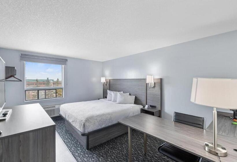 プレミアムルーム, Emerald Hotel & Suites Calgary Airport
