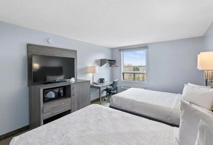 اتاق سوپریور, Emerald Hotel & Suites Calgary Airport