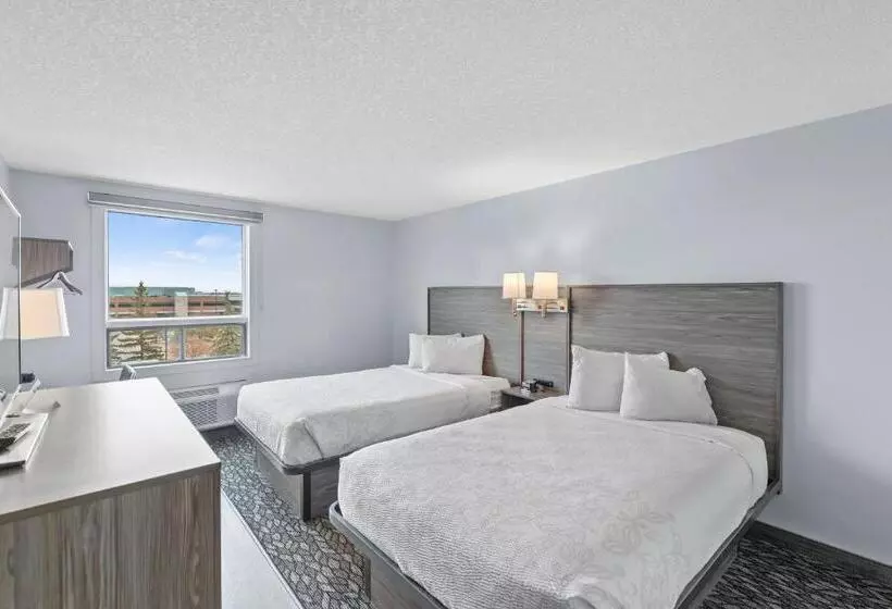 اتاق سوپریور, Emerald Hotel & Suites Calgary Airport