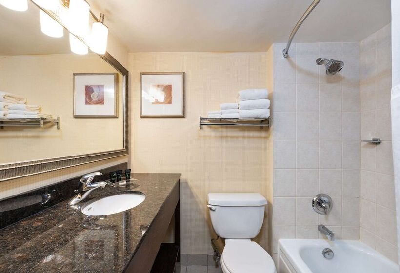 Номер Стандарт 2 Двуспальные Кровати, Allure Hotel & Conference Centre, Ascend Hotel Collection