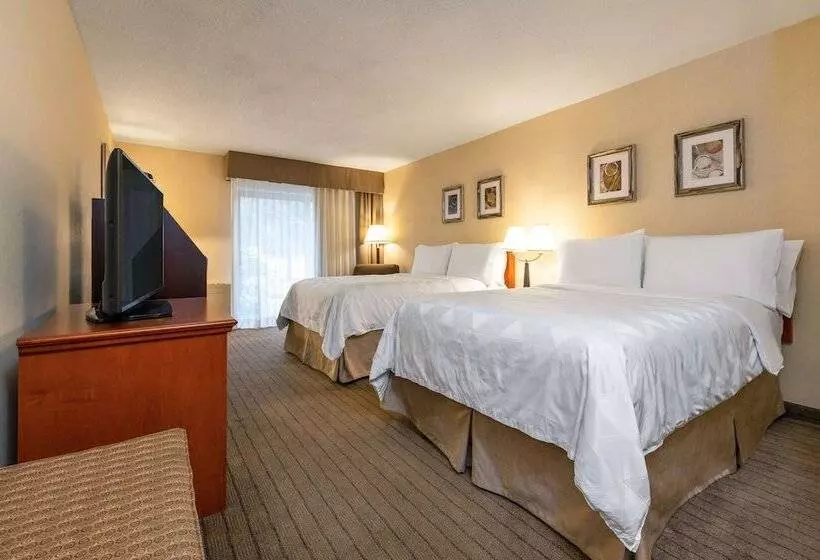 Standard-huone 2 Parivuodetta, Allure Hotel & Conference Centre, Ascend Hotel Collection
