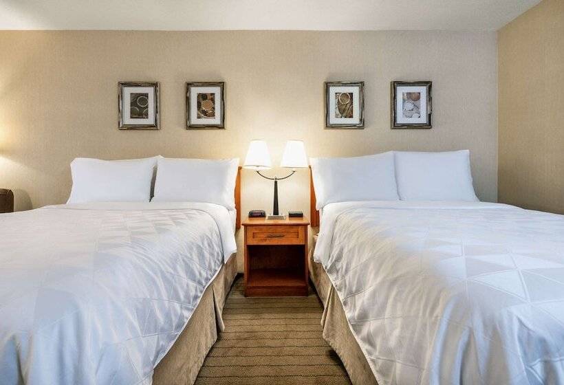 غرفه قياسيه سريرين مزدوجين, Allure Hotel & Conference Centre, Ascend Hotel Collection