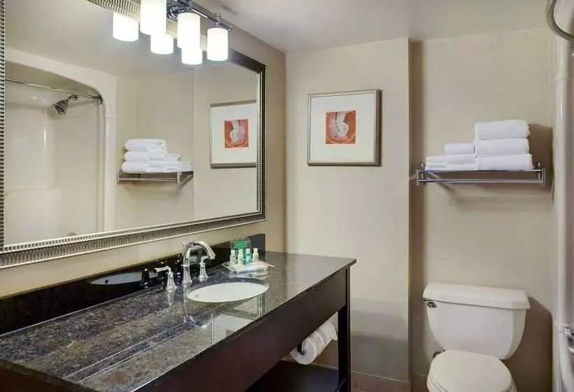 Executive-huone, Allure Hotel & Conference Centre, Ascend Hotel Collection