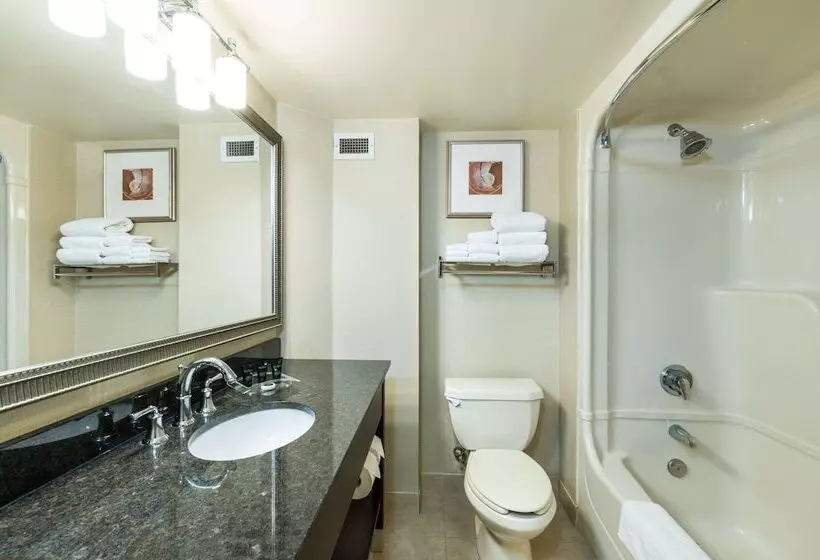Executive-huone, Allure Hotel & Conference Centre, Ascend Hotel Collection
