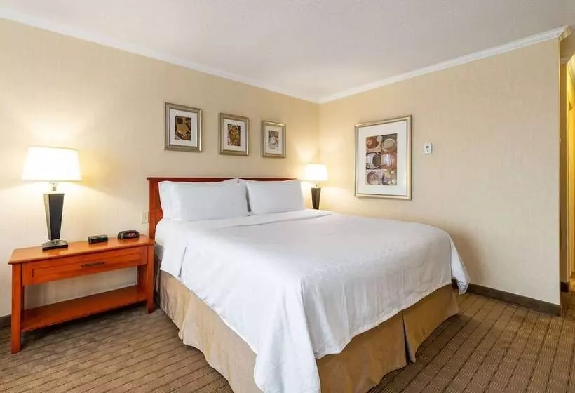 Executive-huone, Allure Hotel & Conference Centre, Ascend Hotel Collection