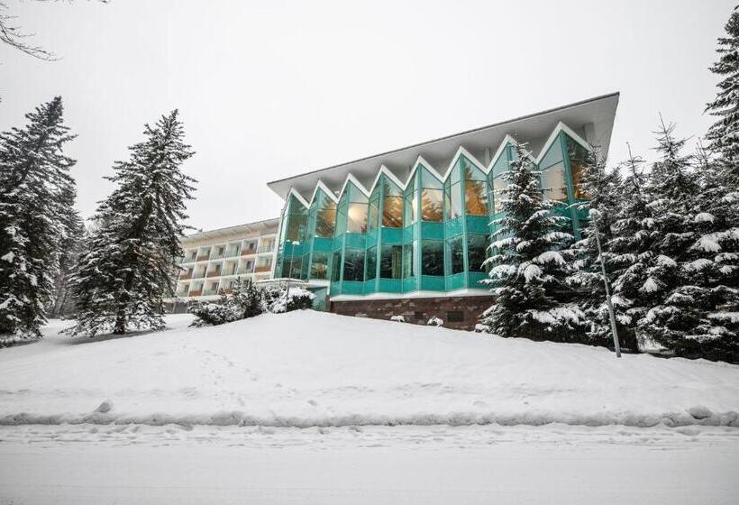 Номер Стандарт Индивидуальный, Interhotel Montana