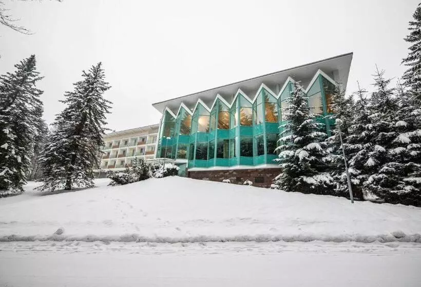 اتاق استاندارد یک نفره, Interhotel Montana