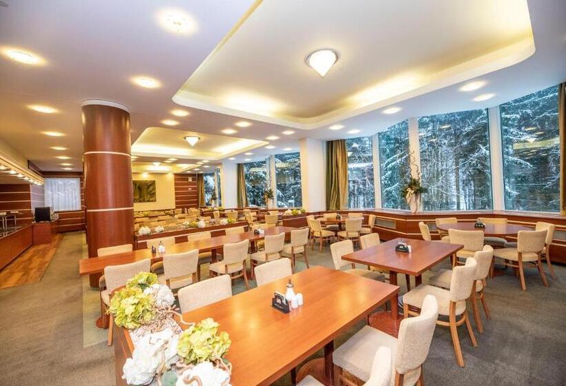 スタンダードシングルルーム, Interhotel Montana