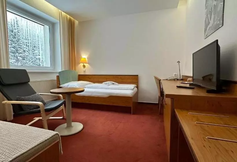 اتاق استاندارد یک نفره, Interhotel Montana
