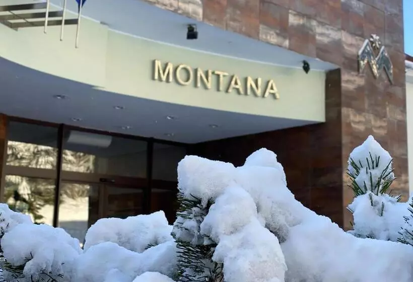 اتاق استاندارد با بالکن, Interhotel Montana