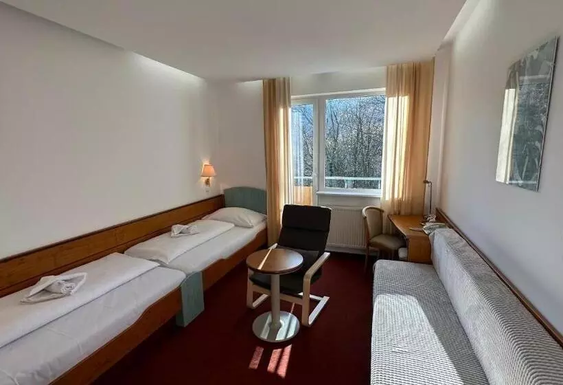 اتاق استاندارد با بالکن, Interhotel Montana