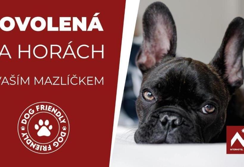 スタンダードルーム, Interhotel Montana