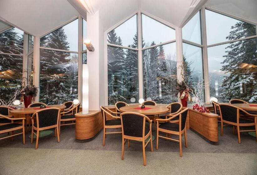 スタンダードルーム, Interhotel Montana