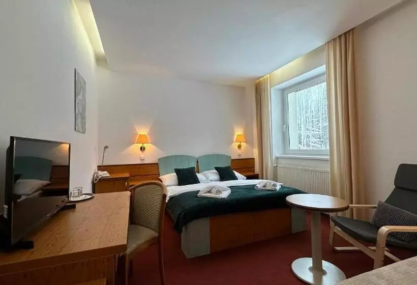 اتاق استاندارد, Interhotel Montana