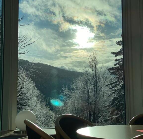 バルコニー付きシングルスタンダードルーム, Interhotel Montana