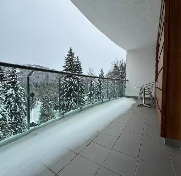آپارتمان 1 خوابه با بالکن, Interhotel Montana