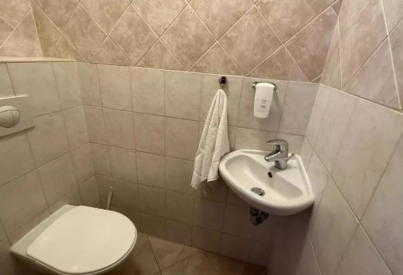 آپارتمان 1 خوابه با بالکن, Interhotel Montana