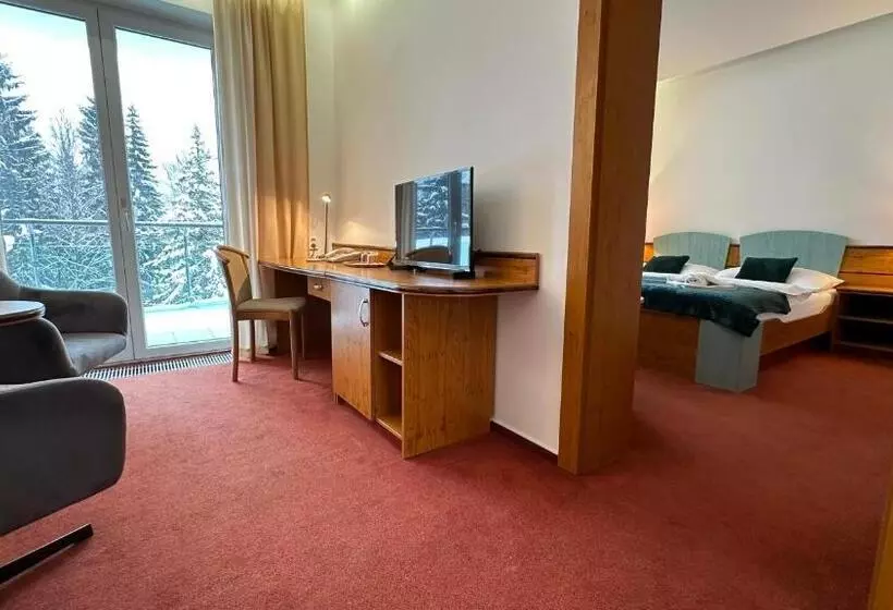 آپارتمان 1 خوابه با بالکن, Interhotel Montana