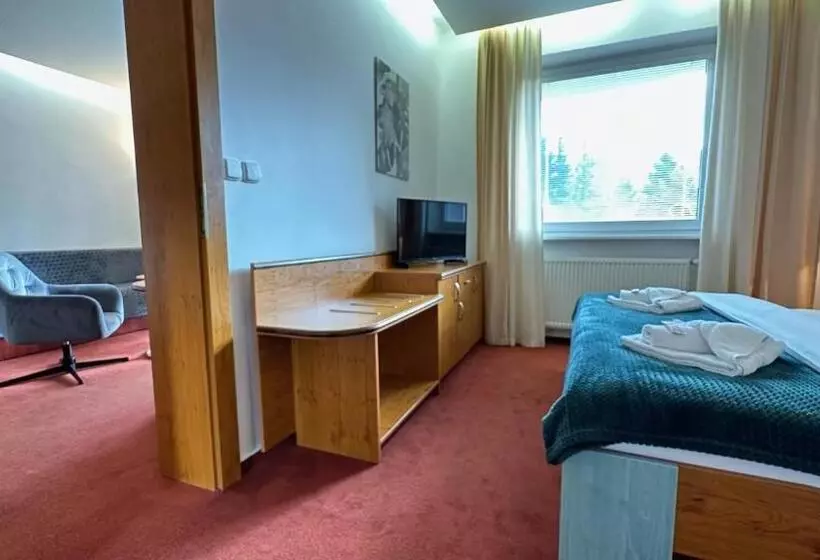 آپارتمان 1 خوابه با بالکن, Interhotel Montana