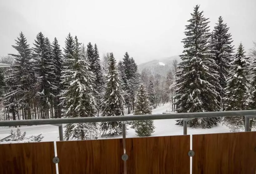 اتاق استاندارد سه تخته با بالکن, Interhotel Montana