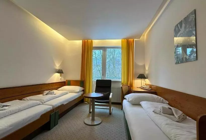 اتاق استاندارد سه تخته با بالکن, Interhotel Montana