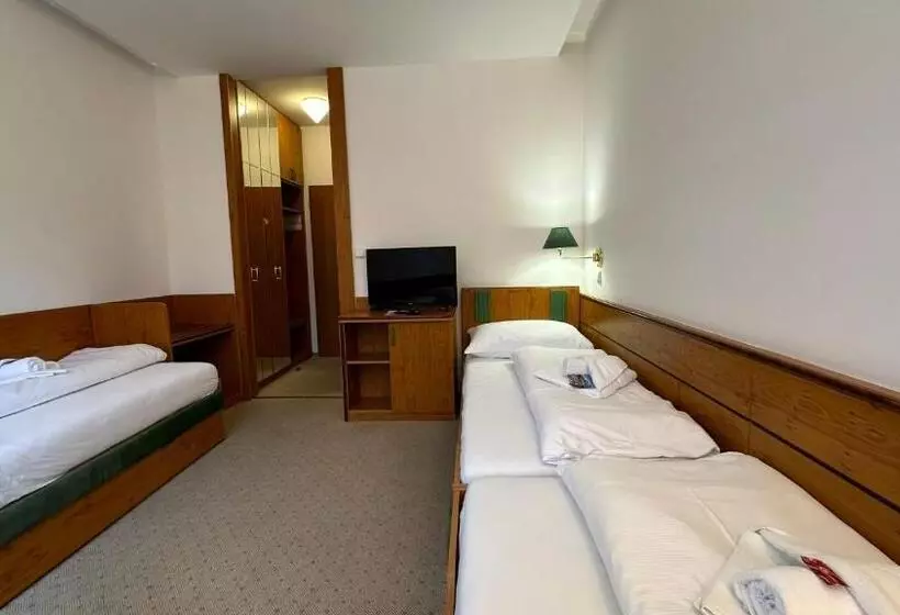 اتاق استاندارد سه تخته با بالکن, Interhotel Montana
