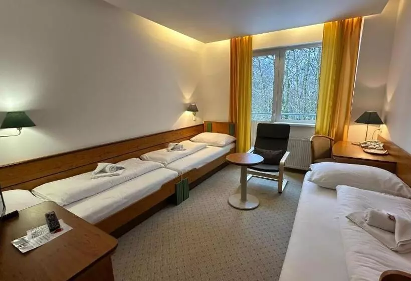اتاق استاندارد سه تخته با بالکن, Interhotel Montana