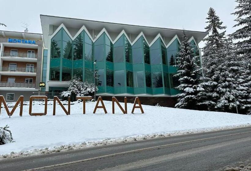 패밀리 룸, Interhotel Montana