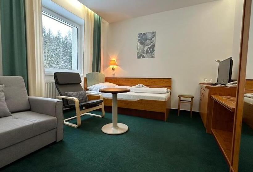 패밀리 룸, Interhotel Montana