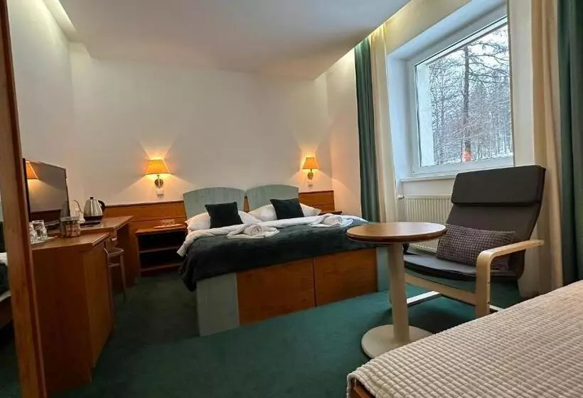 اتاق سوپریور, Interhotel Montana
