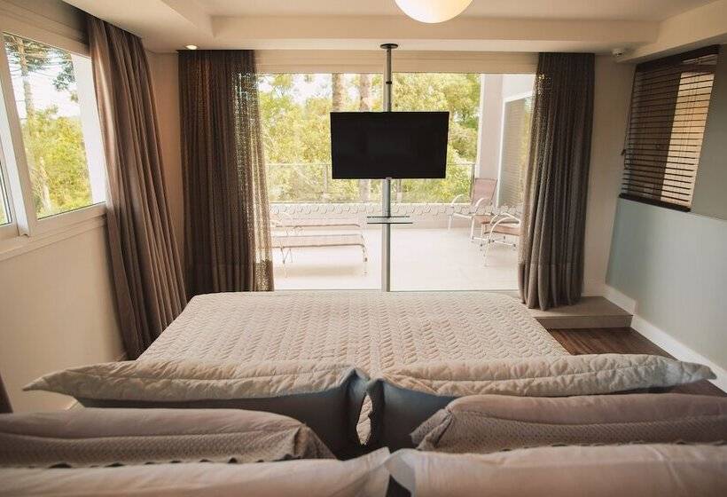 Студио Стандарт Вид на Сад, Renar