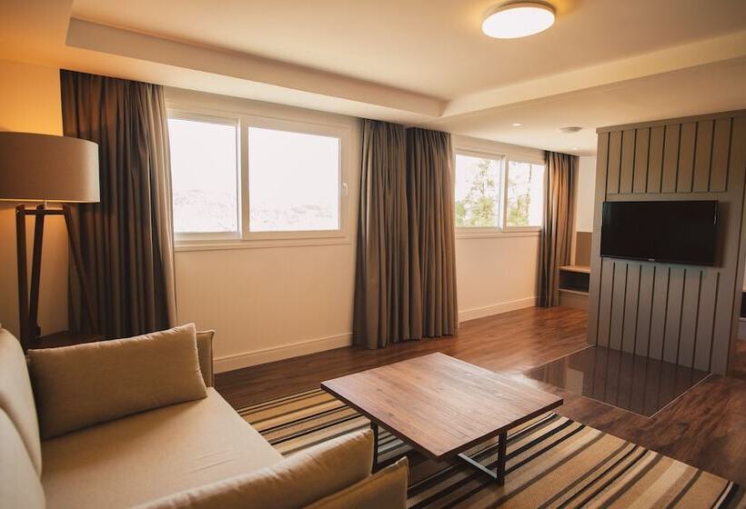 Студио Стандарт Вид на Сад, Renar