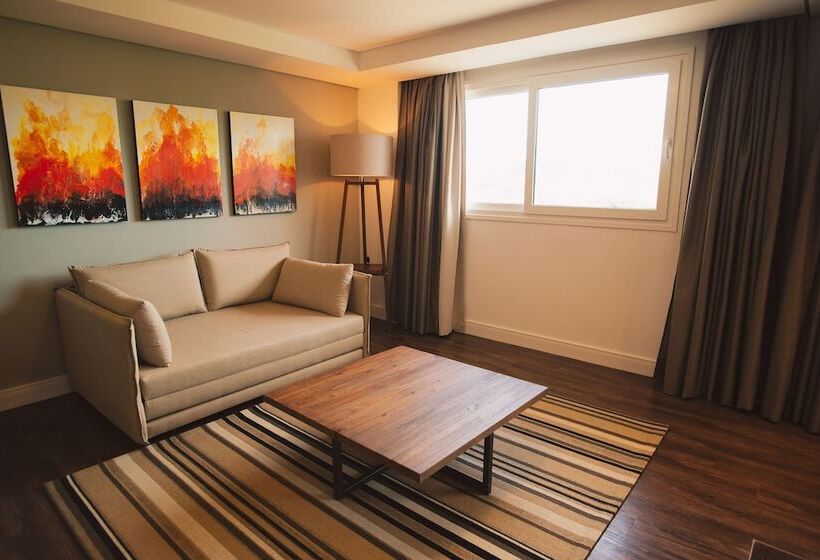 Студио Стандарт Вид на Сад, Renar