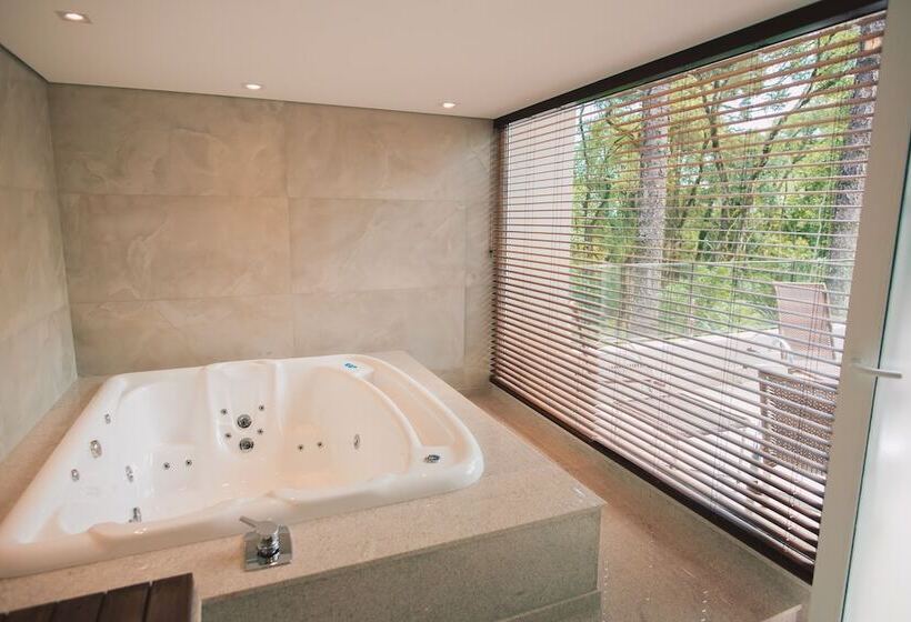 Студио Стандарт Вид на Сад, Renar