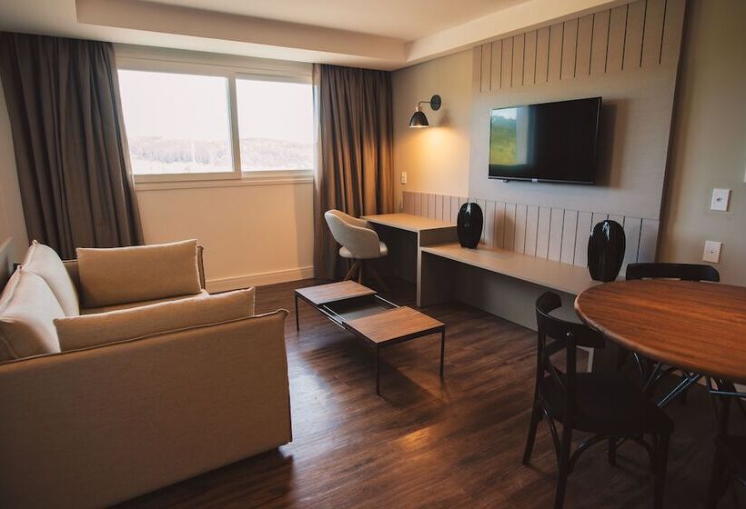 Студио Стандарт Вид на Сад, Renar