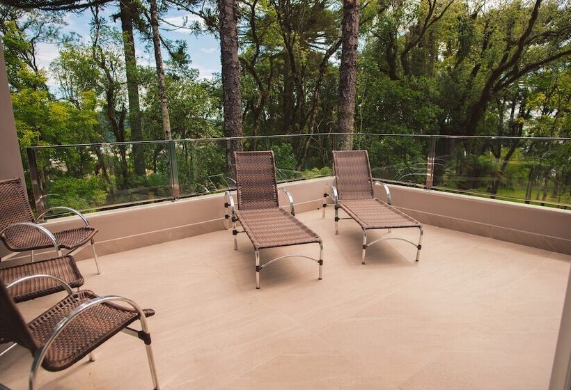 Студио Стандарт Вид на Сад, Renar