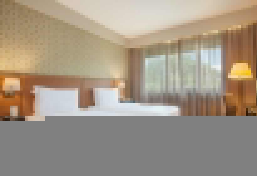 高级三人间, Wish Hotel Da Bahia